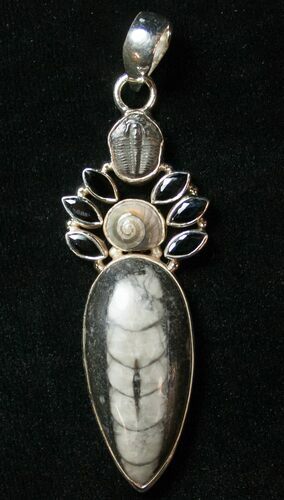 Fossil Orthoceras & Trilobite Pendant - Sterling Silver #8581
